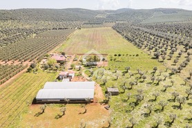 Quinta T2 - Sousel, Sousel, Portalegre - Miniatura: 101/130