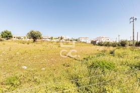 Terreno R�stico T0 - Redondo, Redondo, �vora - Miniatura: 25/34