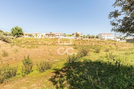 Terreno R�stico T0 - Redondo, Redondo, �vora - Miniatura: 27/34