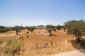 Terreno R�stico T0 - Terena, Alandroal, �vora - Miniatura: 4/12