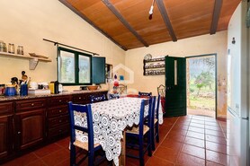 Quinta T2 - Sousel, Sousel, Portalegre - Miniatura: 16/130