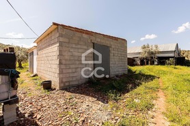 Quinta T2 - Sousel, Sousel, Portalegre - Miniatura: 55/130