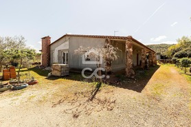 Quinta T2 - Sousel, Sousel, Portalegre - Miniatura: 70/130