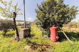 Quinta T2 - Sousel, Sousel, Portalegre - Miniatura: 74/130