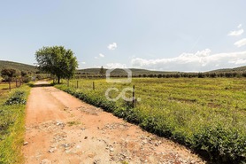 Quinta T2 - Sousel, Sousel, Portalegre - Miniatura: 91/130