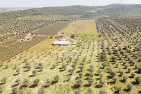 Quinta T2 - Sousel, Sousel, Portalegre - Miniatura: 98/130
