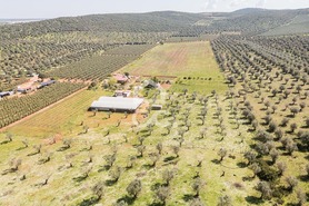 Quinta T2 - Sousel, Sousel, Portalegre - Miniatura: 99/130
