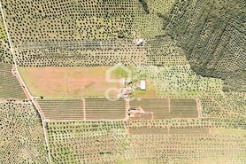 Quinta T2 - Sousel, Sousel, Portalegre - Miniatura: 110/130