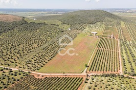 Quinta T2 - Sousel, Sousel, Portalegre - Miniatura: 111/130