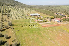 Quinta T2 - Sousel, Sousel, Portalegre - Miniatura: 119/130