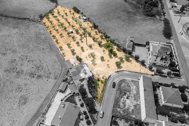 Terreno R�stico T0 - Santa Eul�lia, Elvas, Portalegre - Imagem grande
