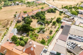 Terreno R�stico T0 - Alvito, Alvito, Beja - Miniatura: 4/21