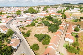 Terreno R�stico T0 - Alvito, Alvito, Beja - Miniatura: 6/21