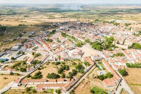 Terreno R�stico T0 - Alvito, Alvito, Beja - Miniatura: 8/21