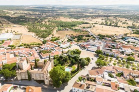 Terreno R�stico T0 - Alvito, Alvito, Beja - Miniatura: 10/21