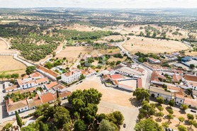 Terreno R�stico T0 - Alvito, Alvito, Beja - Miniatura: 11/21