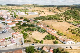 Terreno R�stico T0 - Alvito, Alvito, Beja - Miniatura: 19/21