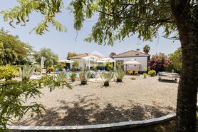 Quinta - Landeira, Vendas Novas, �vora - Miniatura: 50/90