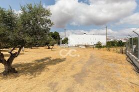 Terreno R�stico T0 - Santa Eul�lia, Elvas, Portalegre - Miniatura: 3/56