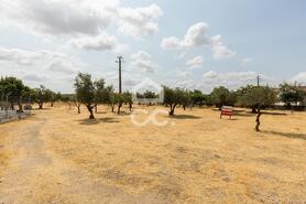 Terreno R�stico T0 - Santa Eul�lia, Elvas, Portalegre - Miniatura: 5/56