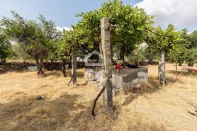 Terreno R�stico T0 - Santa Eul�lia, Elvas, Portalegre - Miniatura: 9/56