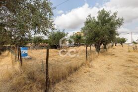 Terreno R�stico T0 - Santa Eul�lia, Elvas, Portalegre - Miniatura: 10/56