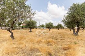 Terreno R�stico T0 - Santa Eul�lia, Elvas, Portalegre - Miniatura: 23/56