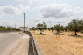 Terreno R�stico T0 - Santa Eul�lia, Elvas, Portalegre - Miniatura: 24/56