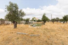 Terreno R�stico T0 - Santa Eul�lia, Elvas, Portalegre - Miniatura: 25/56