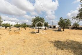 Terreno R�stico T0 - Santa Eul�lia, Elvas, Portalegre - Miniatura: 30/56