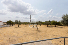 Terreno R�stico T0 - Santa Eul�lia, Elvas, Portalegre - Miniatura: 32/56