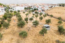 Terreno R�stico T0 - Santa Eul�lia, Elvas, Portalegre - Miniatura: 37/56