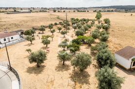 Terreno R�stico T0 - Santa Eul�lia, Elvas, Portalegre - Miniatura: 43/56
