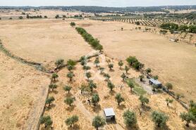 Terreno R�stico T0 - Santa Eul�lia, Elvas, Portalegre - Miniatura: 45/56