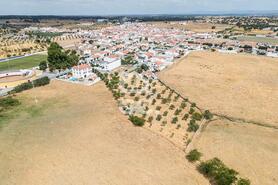 Terreno R�stico T0 - Santa Eul�lia, Elvas, Portalegre - Miniatura: 50/56