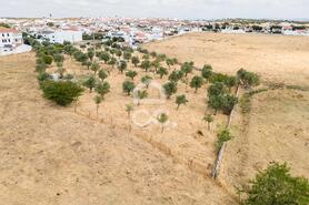 Terreno R�stico T0 - Santa Eul�lia, Elvas, Portalegre - Miniatura: 51/56