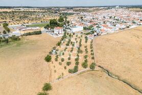 Terreno R�stico T0 - Santa Eul�lia, Elvas, Portalegre - Miniatura: 53/56