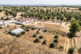 Quinta T2 - AMEIXIAL, Estremoz, �vora - Miniatura: 3/64