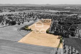 Quinta T2 - AMEIXIAL, Estremoz, �vora - Miniatura: 16/64