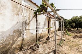 Quinta T2 - AMEIXIAL, Estremoz, �vora - Miniatura: 20/64