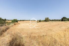 Quinta T2 - AMEIXIAL, Estremoz, �vora - Miniatura: 29/64