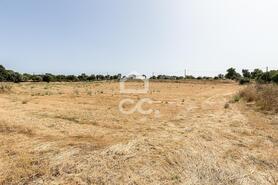 Quinta T2 - AMEIXIAL, Estremoz, �vora - Miniatura: 30/64