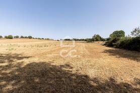Quinta T2 - AMEIXIAL, Estremoz, �vora - Miniatura: 31/64
