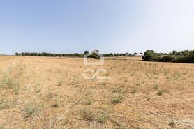 Quinta T2 - AMEIXIAL, Estremoz, �vora - Miniatura: 32/64