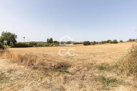 Quinta T2 - AMEIXIAL, Estremoz, �vora - Miniatura: 34/64
