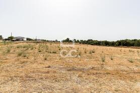 Quinta T2 - AMEIXIAL, Estremoz, �vora - Miniatura: 35/64