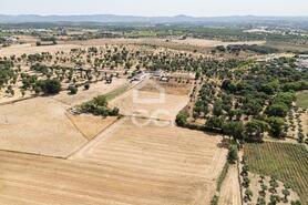 Quinta T2 - AMEIXIAL, Estremoz, �vora - Miniatura: 45/64