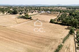 Quinta T2 - AMEIXIAL, Estremoz, �vora - Miniatura: 46/64