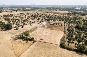 Quinta T2 - AMEIXIAL, Estremoz, �vora - Miniatura: 47/64