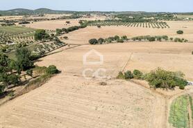Quinta T2 - AMEIXIAL, Estremoz, �vora - Miniatura: 61/64